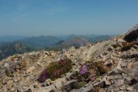 2015-07-04_2Sonnjoch (220).JPG